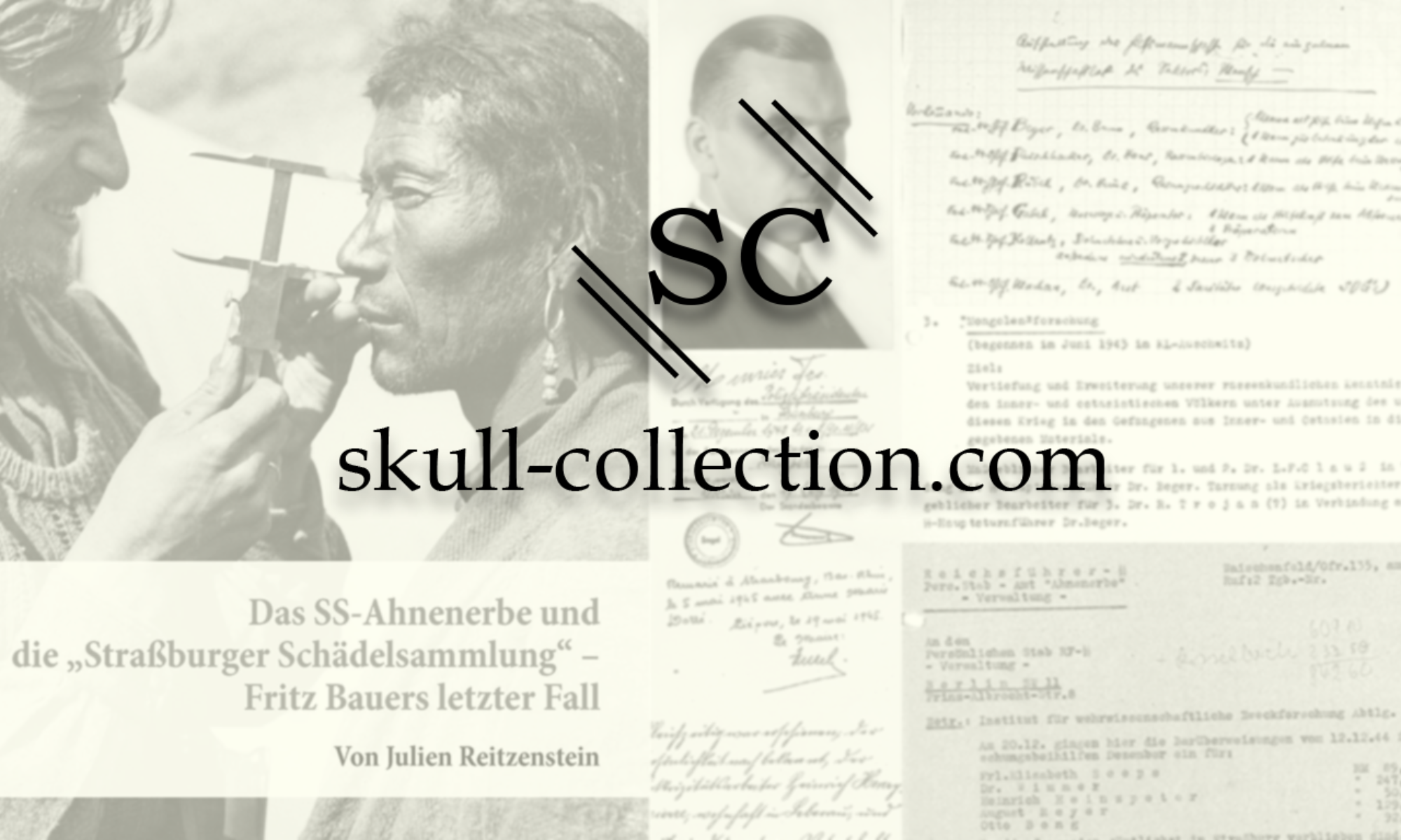 skull-collection.com